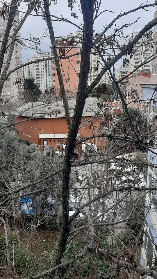 Istanbul, Turkey Snap