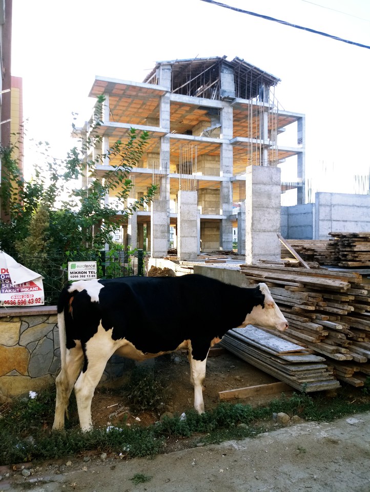 39.5701, 26.9552 Pişti