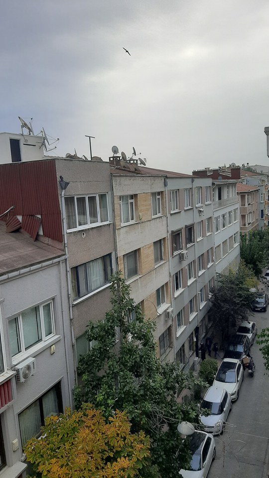 Istanbul, Turkey Snap